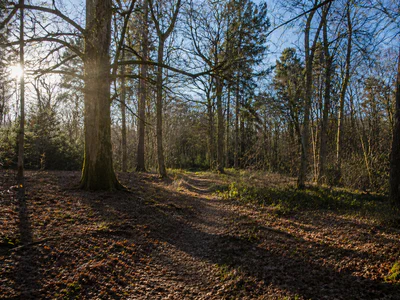 Ecologist undertaking habitat survey fieldwork