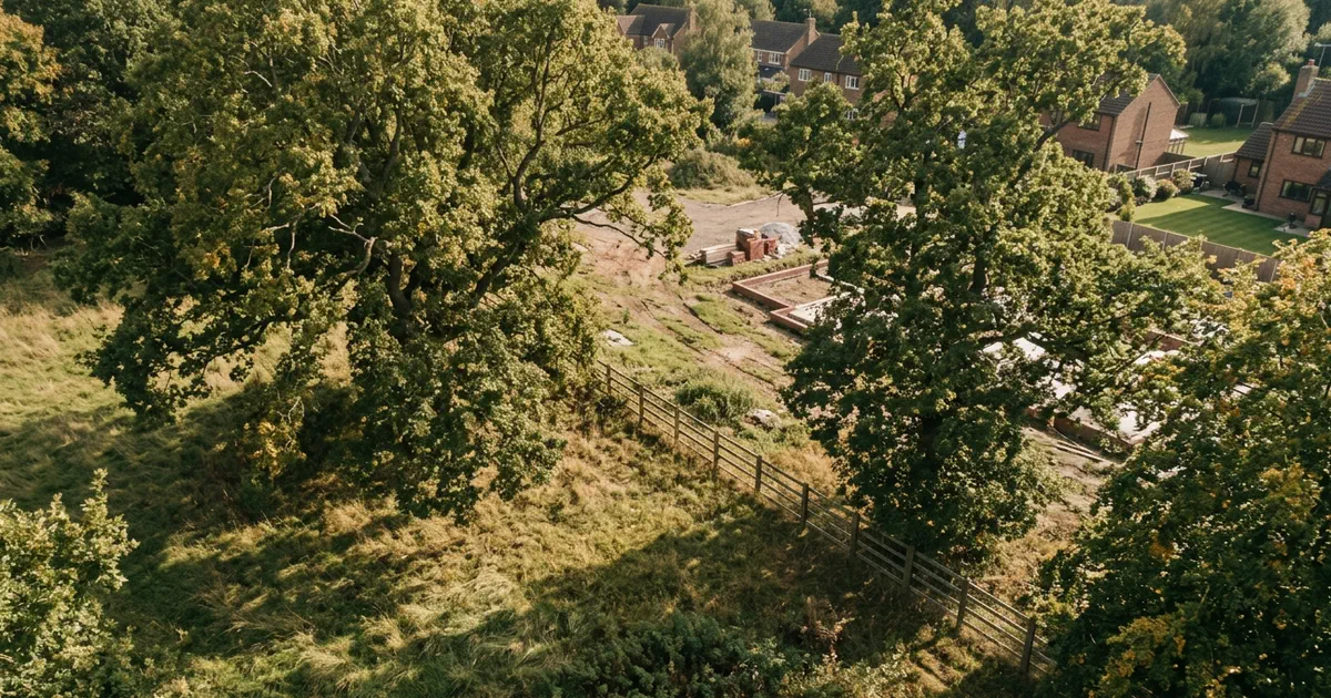 Featured image for news article: Tree Planting Targets Are Off Track. What It Means for Developers.