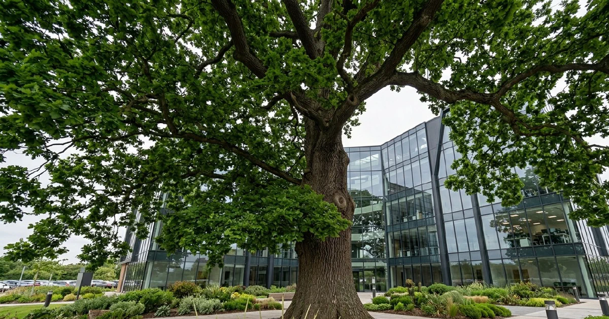 Featured image for news article: Tree Surveys Through an ESG Lens: Why Corporate Estates Are Paying Attention