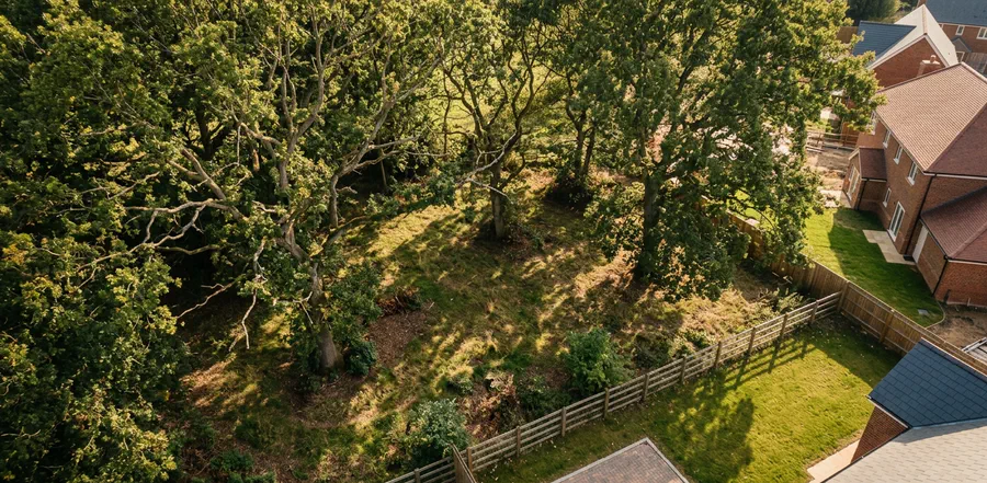 Mature trees retained alongside a new UK housing development — a typical site where a BS5837 tree survey and arboricultural evidence are required before planning consent.